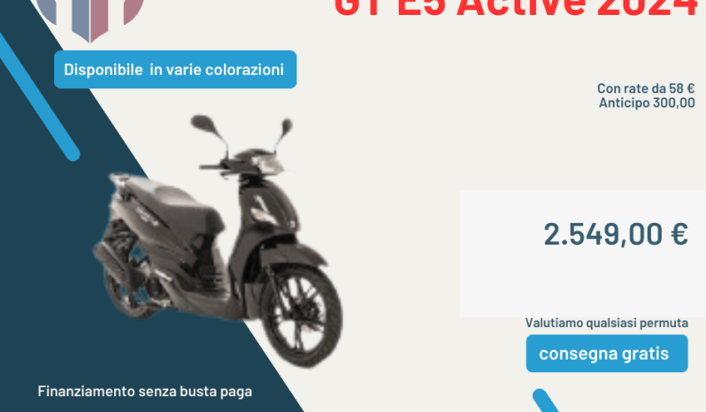 Peugeot Tweet 50 GT E5 Active 2024 pieno